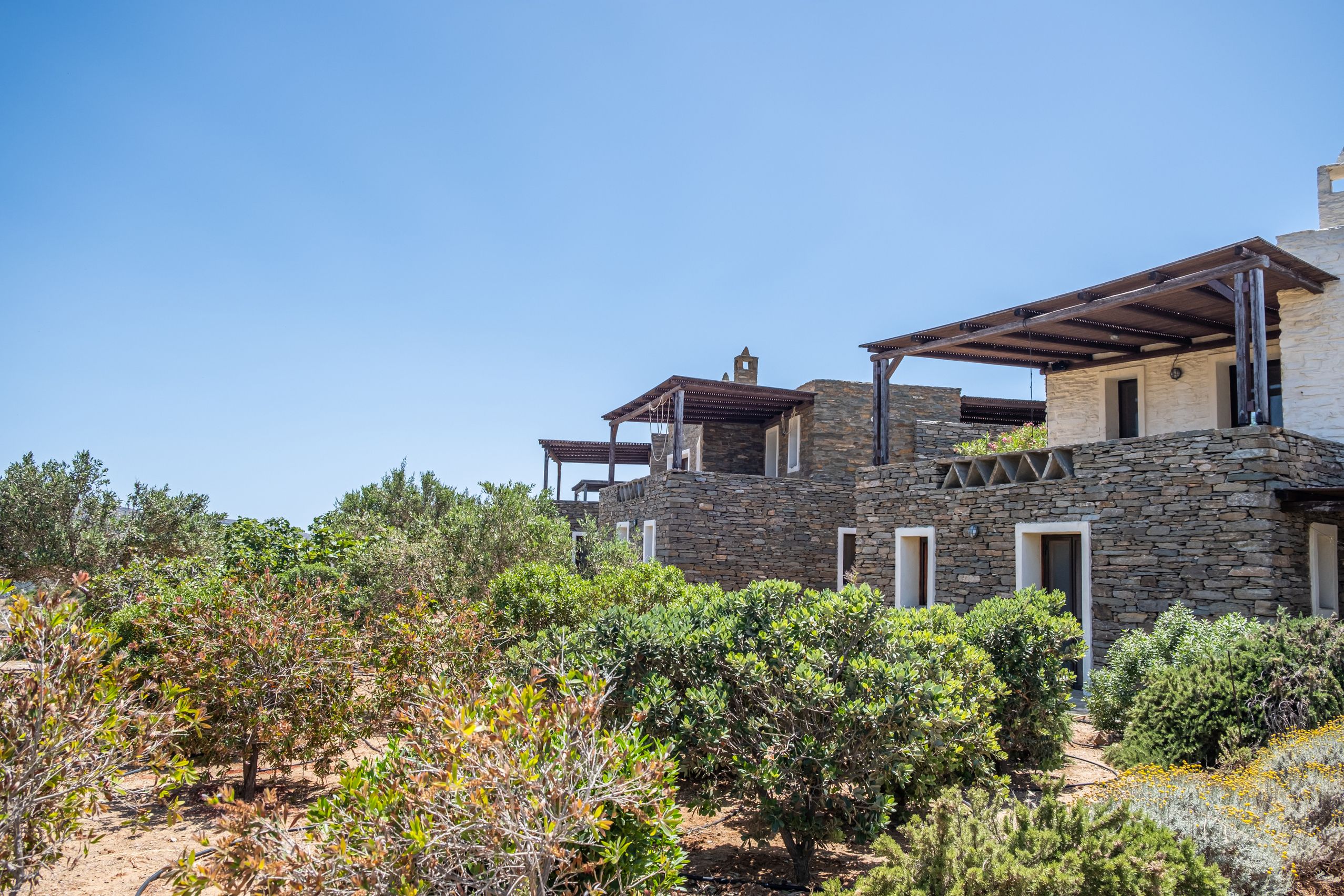 Terraced gardens with olive trees
