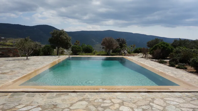 Pool steps and shallow end with stone coping and lounge chairs beyond